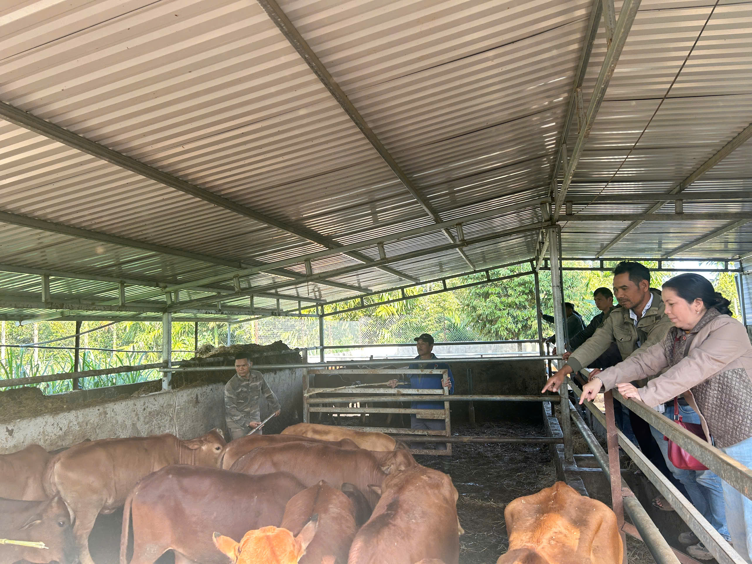 Kết quả triển khai Chương trình mục tiêu quốc gia phát triển kinh tế - xã hội vùng đồng bào dân tộc thiểu số và miền núi năm 2025 trên địa bàn xã M’Drắk